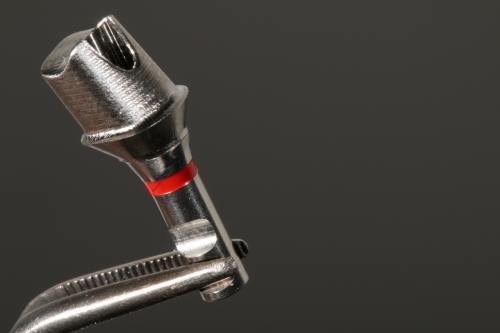 Prefab_Preform_Straumann_Synocta